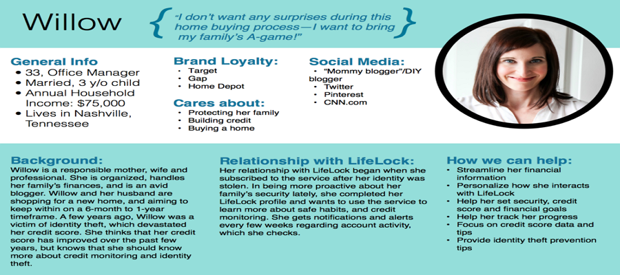 user persona example