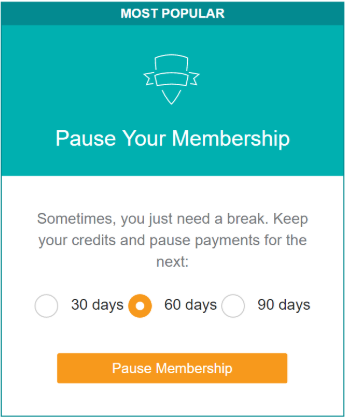 Pause subscription